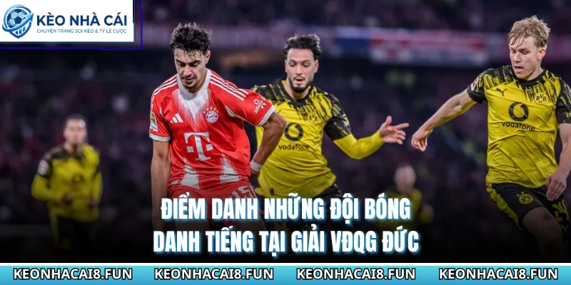 Bundesliga 29 Điểm danh những đội bóng danh tiếng tại giải VĐQG Đức