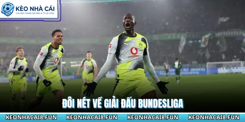 Bundesliga 28 Đôi nét về giải đấu Bundesliga